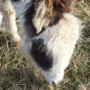 Meet your Posher, Jody